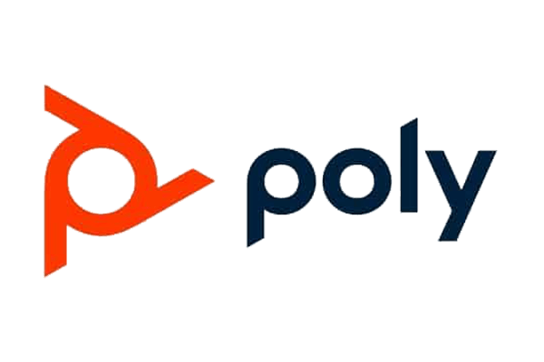 logo_poly